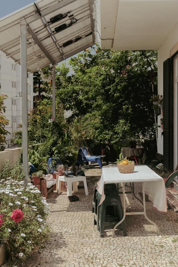 Coimbra Erasmus House - Guest House Zewnętrze zdjęcie